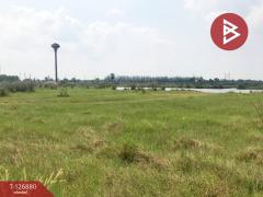 ขายที่ดิน เนื้อที่ 2 ไร่ 2 งาน 42 ตร.วา องครักษ์ นครนายก-202511181453231763452403378.jpg