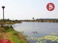 ขายที่ดิน เนื้อที่ 2 ไร่ 2 งาน 42 ตร.วา องครักษ์ นครนายก-202511181453241763452404460.jpg