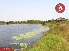 ขายที่ดิน เนื้อที่ 2 ไร่ 2 งาน 42 ตร.วา องครักษ์ นครนายก-202511181453241763452404992.jpg