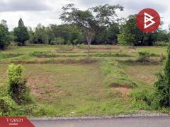 ขายที่ดิน เนื้อที่ 22 ไร่ 1 งาน 30 ตร.วา แวงน้อย ขอนแก่น