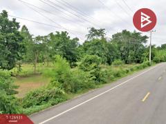 ขายที่ดิน เนื้อที่ 22 ไร่ 1 งาน 30 ตร.วา แวงน้อย ขอนแก่น-202511181503581763453038178.jpg