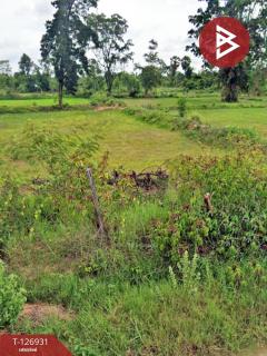 ขายที่ดิน เนื้อที่ 22 ไร่ 1 งาน 30 ตร.วา แวงน้อย ขอนแก่น-202511181503591763453039159.jpg