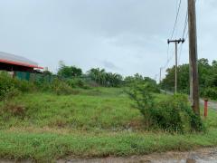 ขายที่ดินเปล่า ทำเลดี อำเภอกาญจนดิษฐ์ จังหวัดสุราษฎร์ธานี-202511181511091763453469216.jpg