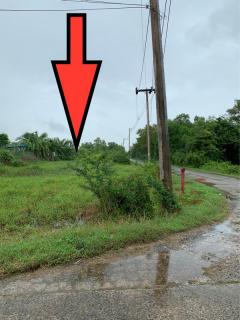 ขายที่ดินเปล่า ทำเลดี อำเภอกาญจนดิษฐ์ จังหวัดสุราษฎร์ธานี-202511181511091763453469720.jpg