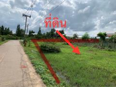 ขายที่ดินเปล่า ทำเลดี อำเภอกาญจนดิษฐ์ จังหวัดสุราษฎร์ธานี-202511181511101763453470737.jpg