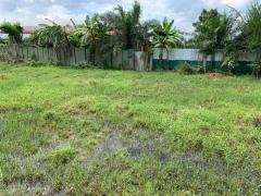 ขายที่ดินเปล่า ทำเลดี อำเภอกาญจนดิษฐ์ จังหวัดสุราษฎร์ธานี-202511181511111763453471740.jpg