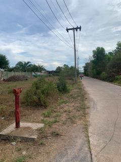 ขายที่ดินเปล่า ทำเลดี อำเภอกาญจนดิษฐ์ จังหวัดสุราษฎร์ธานี-202511181511141763453474561.jpg