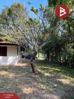 ขายที่ดินพร้อมสิ่งปลูกสร้าง เนื้อที่ 1 ไร่ 61 ตารางวา อ.อู่ทอง สุพรรณบุรี-202511181535211763454921581.jpg