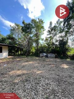 ขายที่ดินพร้อมสิ่งปลูกสร้าง เนื้อที่ 1 ไร่ 61 ตารางวา อ.อู่ทอง สุพรรณบุรี-202511181535221763454922117.jpg