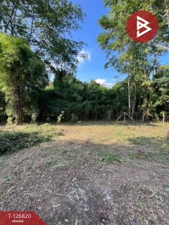 ขายที่ดินพร้อมสิ่งปลูกสร้าง เนื้อที่ 1 ไร่ 61 ตารางวา อ.อู่ทอง สุพรรณบุรี-202511181535251763454925275.jpg