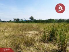 ขายที่ดินเปล่า-เนื้อที่-1-ไร่-1-งาน-81.7-ต