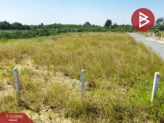 ขายที่ดินเปล่า เนื้อที่ 1 ไร่ 1 งาน 81.7 ตร.วา บางเลน นครปฐม-202511181537271763455047362.jpg