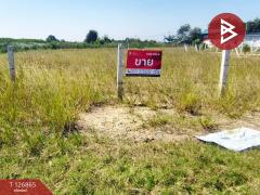 ขายที่ดินเปล่า เนื้อที่ 1 ไร่ 1 งาน 81.7 ตร.วา บางเลน นครปฐม-202511181537281763455048360.jpg