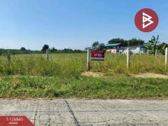 ขายที่ดินเปล่า เนื้อที่ 1 ไร่ 1 งาน 81.7 ตร.วา บางเลน นครปฐม-202511181537291763455049290.jpg