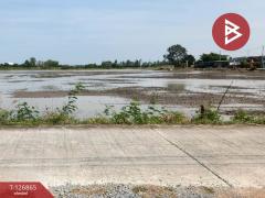 ขายที่ดินเปล่า เนื้อที่ 1 ไร่ 1 งาน 81.7 ตร.วา บางเลน นครปฐม-202511181537301763455050944.jpg