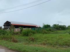 ขายที่ดินเปล่า ทำเลดี อำเภอกาญจนดิษฐ์ จังหวัดสุราษฎร์ธานี