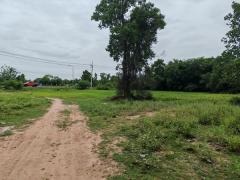 ขายที่ดินเปล่า 16 ไร่ 2 งาน 58 ตร.ว. อำเภอประทาย นครราชสีมา ติดถนน อยู่ในแหล่งชุมชน โทร 083-9169044-202511181625391763457939181.jpg