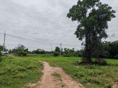 ขายที่ดินเปล่า 16 ไร่ 2 งาน 58 ตร.ว. อำเภอประทาย นครราชสีมา ติดถนน อยู่ในแหล่งชุมชน โทร 083-9169044-202511181625391763457939660.jpg