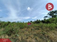 ขายที่ดิน เนื้อที่ 1 งาน 46.6 ตร.วา อัมพวา สมุทรสงคราม