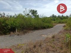 ขายที่ดิน เนื้อที่ 1 งาน 46.6 ตร.วา อัมพวา สมุทรสงคราม-202511181652511763459571819.jpg