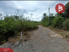 ขายที่ดิน เนื้อที่ 1 งาน 46.6 ตร.วา อัมพวา สมุทรสงคราม-202511181652521763459572388.jpg