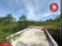 ขายที่ดิน เนื้อที่ 1 งาน 46.6 ตร.วา อัมพวา สมุทรสงคราม-202511181652521763459572947.jpg