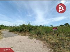 ขายที่ดิน เนื้อที่ 1 งาน 46.6 ตร.วา อัมพวา สมุทรสงคราม-202511181652531763459573486.jpg