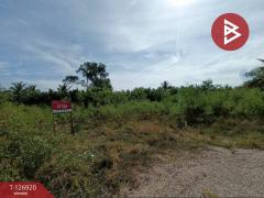 ขายที่ดิน เนื้อที่ 1 งาน 46.6 ตร.วา อัมพวา สมุทรสงคราม-202511181652541763459574024.jpg