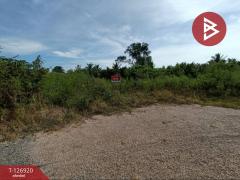 ขายที่ดิน เนื้อที่ 1 งาน 46.6 ตร.วา อัมพวา สมุทรสงคราม-202511181652541763459574561.jpg