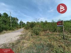 ขายที่ดิน เนื้อที่ 1 งาน 46.6 ตร.วา อัมพวา สมุทรสงคราม-202511181652551763459575095.jpg