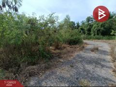 ขายที่ดิน เนื้อที่ 1 งาน 46.6 ตร.วา อัมพวา สมุทรสงคราม-202511181652551763459575686.jpg