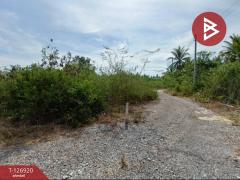 ขายที่ดิน เนื้อที่ 1 งาน 46.6 ตร.วา อัมพวา สมุทรสงคราม-202511181652561763459576226.jpg