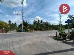 ขายที่ดิน เนื้อที่ 1 งาน 46.6 ตร.วา อัมพวา สมุทรสงคราม-202511181652561763459576764.jpg