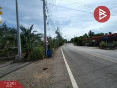 ขายที่ดิน เนื้อที่ 1 งาน 46.6 ตร.วา อัมพวา สมุทรสงคราม-202511181652571763459577314.jpg