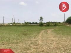 ขายที่ดิน-เนื้อที่-2-ไร่-2-งาน-35-ตารางว