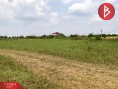 ขายที่ดิน เนื้อที่ 2 ไร่ 2 งาน 35 ตารางวา องครักษ์ นครนายก-202511181656071763459767377.jpg