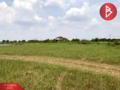 ขายที่ดิน เนื้อที่ 2 ไร่ 2 งาน 35 ตารางวา องครักษ์ นครนายก-202511181656071763459767877.jpg