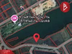 ขายที่ดิน เนื้อที่ 2 ไร่ 2 งาน 35 ตารางวา องครักษ์ นครนายก-202511181656091763459769470.jpg