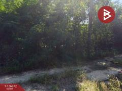 ขาย/เช่า สำนักงาน เนื้อที่ 1 งาน ซ.ซิตี้แลนด์ 1 ปากเกร็ด นนทบุรี-202511181711061763460666290.jpg