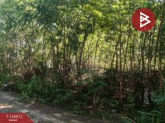 ขาย/เช่า สำนักงาน เนื้อที่ 1 งาน ซ.ซิตี้แลนด์ 1 ปากเกร็ด นนทบุรี-202511181711071763460667187.jpg