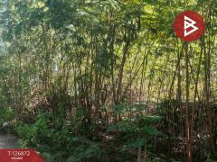 ขาย/เช่า สำนักงาน เนื้อที่ 1 งาน ซ.ซิตี้แลนด์ 1 ปากเกร็ด นนทบุรี-202511181711071763460667794.jpg