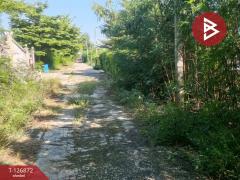 ขาย/เช่า สำนักงาน เนื้อที่ 1 งาน ซ.ซิตี้แลนด์ 1 ปากเกร็ด นนทบุรี-202511181711081763460668344.jpg