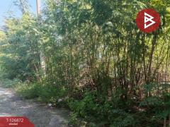 ขาย/เช่า สำนักงาน เนื้อที่ 1 งาน ซ.ซิตี้แลนด์ 1 ปากเกร็ด นนทบุรี-202511181711081763460668876.jpg