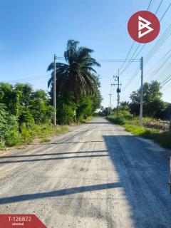 ขายที่ดิน เนื้อที่ 2 งาน บางเลน นครปฐม-202511181711091763460669412.jpg