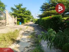 ขายที่ดิน เนื้อที่ 2 งาน บางเลน นครปฐม-202511181711101763460670785.jpg