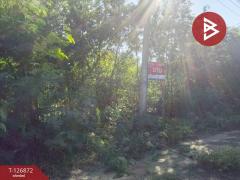 ขายที่ดิน เนื้อที่ 2 งาน บางเลน นครปฐม-202511181711111763460671322.jpg