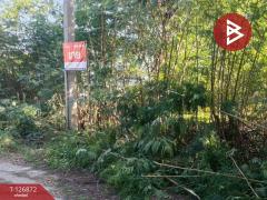 ขายที่ดิน เนื้อที่ 2 งาน บางเลน นครปฐม-202511181711121763460672397.jpg