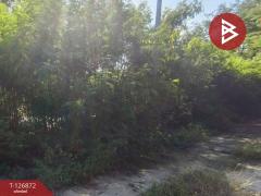 ขายที่ดิน เนื้อที่ 2 งาน บางเลน นครปฐม-202511181711121763460672936.jpg