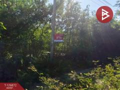 ขายที่ดิน เนื้อที่ 2 งาน บางเลน นครปฐม-202511181711131763460673466.jpg