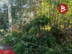 ขายที่ดิน เนื้อที่ 2 งาน บางเลน นครปฐม-202511181711141763460674003.jpg